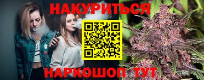 mdpv Краснознаменск