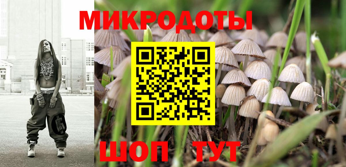 Псилоцибиновые грибы Psilocybe Гусев