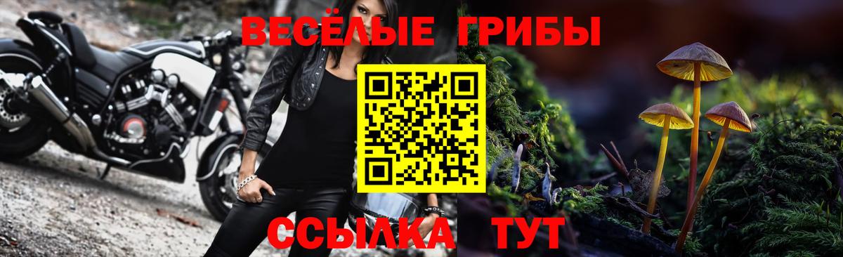 Гусев  Псилоцибиновые грибы MAGIC MUSHROOMS  купить закладку  Вход с VPN 